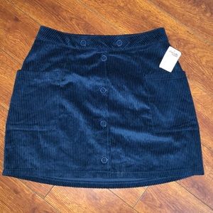 Charlotte Russe skirt